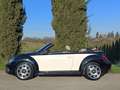 Volkswagen Maggiolino Cabrio 1.6 TDI Design Noir - thumbnail 5