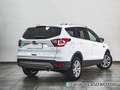 Ford Kuga 1.5 EcoBoost Trend FWD 120 Bianco - thumbnail 5