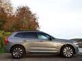 Volvo XC60 XC60 2.0 B4 MHEV FULL DARK PLUS !! Gris - thumbnail 6