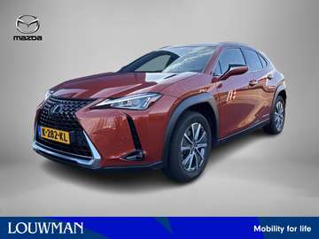 Luxury 54 kWh | Leder | stoelverwarming en -koelin