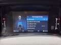 Ford Ranger Doppelkabine XLT 4x4 2,0 EcoBlue Aut. Kamera/AHK/ Schwarz - thumbnail 30