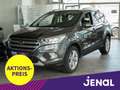 Ford Kuga Titanium AUTOM./ALLRAD/NEUER MOTOR Grau - thumbnail 1