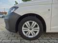 Volkswagen Caddy Kombi TDI EcoProfi Klima SH Weiß - thumbnail 11