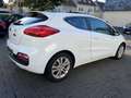 Kia ProCeed / pro_cee'd 1.6 GDI 135 PS - Panorama, Klima, TÜV bis 02/2027 - thumbnail 9