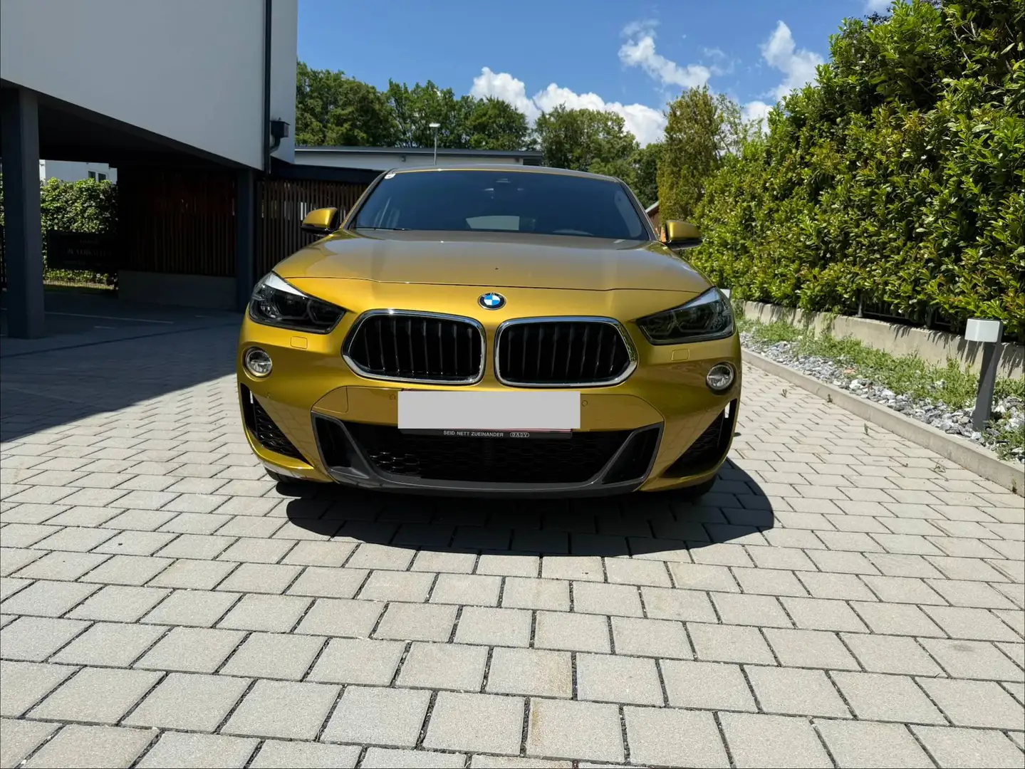 BMW X2 X2 xDrive20d Aut. Gold - 1