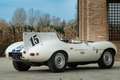 Jaguar D-Type Replica Weiß - thumbnail 20