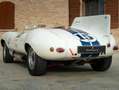 Jaguar D-Type Replica Weiß - thumbnail 23