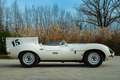 Jaguar D-Type Replica Weiß - thumbnail 3