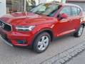 Volvo XC40 XC40 Diesel D3 Momentum Rot - thumbnail 11