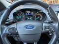 Ford Kuga Kuga 2,0 TDCi Titanium Leder/Panoramadach/AHV Grau - thumbnail 12