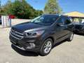 Ford Kuga Kuga 2,0 TDCi Titanium Leder/Panoramadach/AHV Grau - thumbnail 1