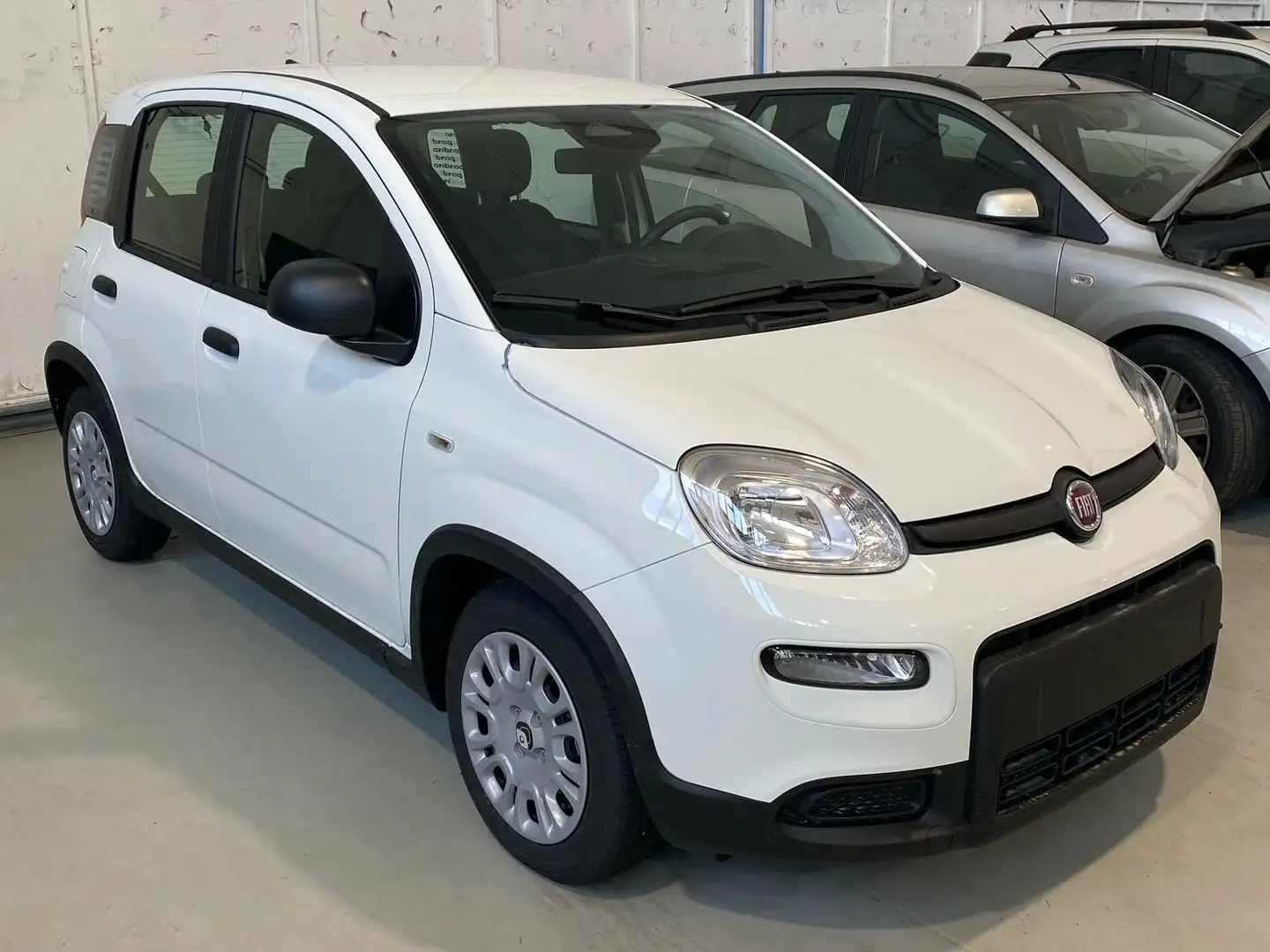 Fiat New Panda PANDINA Bianco - 1