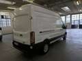 Ford TRANSIT L2 H3 2.0 TDCI 170CV EURO6B Bianco - thumbnail 4