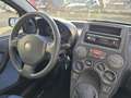 Fiat Panda Panda 1.2 Dynamic Natural Power Blau - thumbnail 13