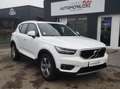 Volvo XC40 1.5 T2 129 MOMENTUM BUSINESS 2WD GEARTRONIC 8 Wit - thumbnail 1