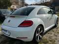 Volkswagen Beetle MWST AUSW. PANO KAM PDC NAVI KLIMA XENON Wit - thumbnail 5