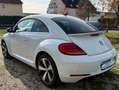 Volkswagen Beetle MWST AUSW. PANO KAM PDC NAVI KLIMA XENON Wit - thumbnail 3