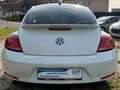 Volkswagen Beetle MWST AUSW. PANO KAM PDC NAVI KLIMA XENON Wit - thumbnail 4