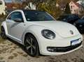 Volkswagen Beetle MWST AUSW. PANO KAM PDC NAVI KLIMA XENON Wit - thumbnail 7