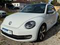 Volkswagen Beetle MWST AUSW. PANO KAM PDC NAVI KLIMA XENON Wit - thumbnail 1
