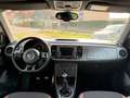 Volkswagen Beetle MWST AUSW. PANO KAM PDC NAVI KLIMA XENON Wit - thumbnail 10