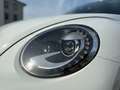 Volkswagen Beetle MWST AUSW. PANO KAM PDC NAVI KLIMA XENON Wit - thumbnail 18