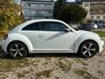 Volkswagen Beetle MWST AUSW. PANO KAM PDC NAVI KLIMA XENON Wit - thumbnail 6