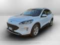 Ford Kuga 1.5 ecoblue st-line 2wd 120cv Bianco - thumbnail 1