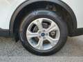 Ford Kuga 1.5 ecoblue st-line 2wd 120cv Bianco - thumbnail 8
