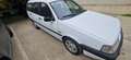 Fiat Tempra Station Wagon 4x4 - thumbnail 2