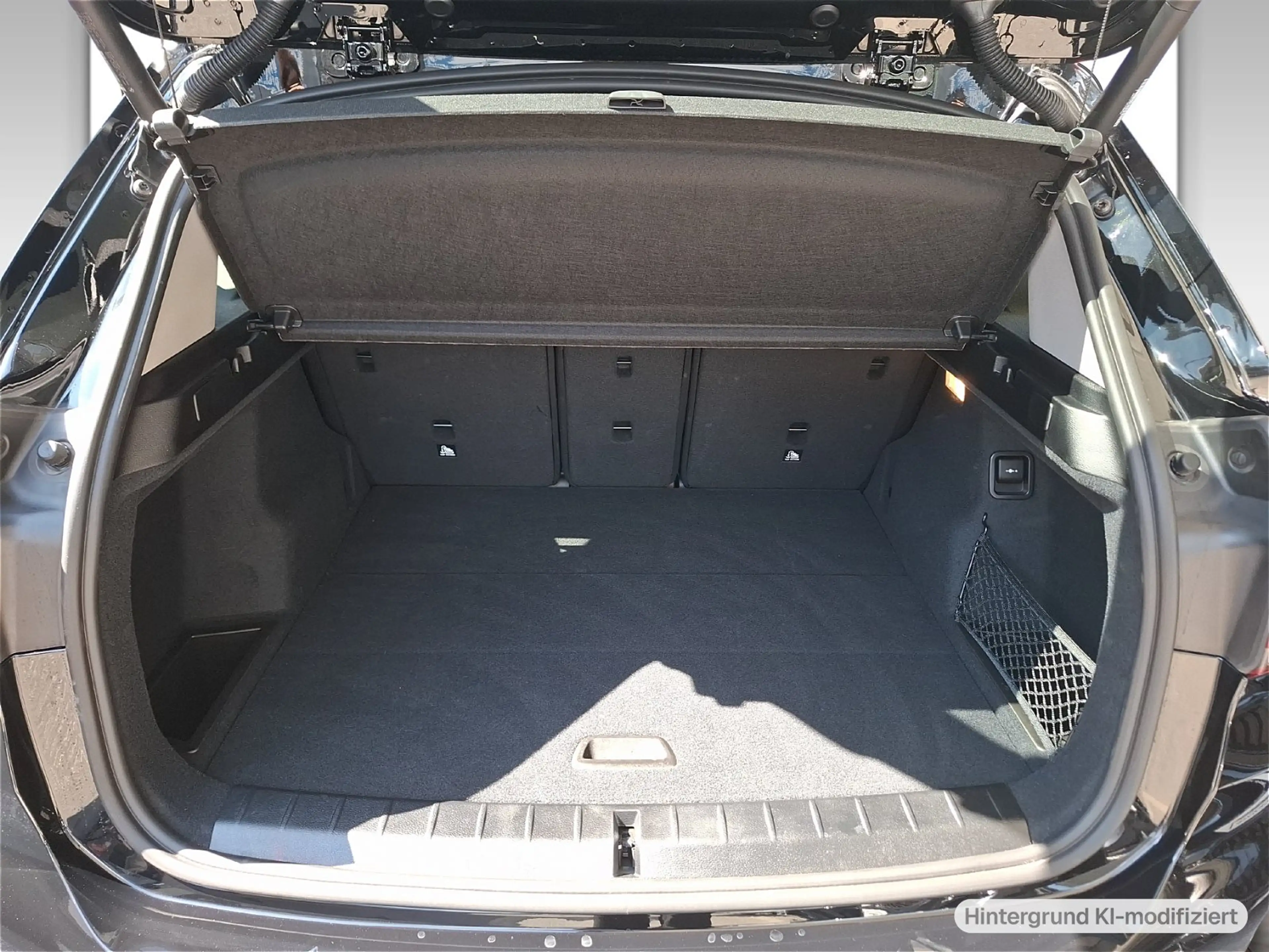 BMW X1 sDrive16d (F48) Advantage LED WLAN RFK Shz — photo 12