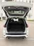 Ford Kuga 2,0 TDCi ST-Line Start/Stop Powershift Aut. AWD - thumbnail 5