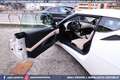 Lotus Evora 3.5 V6 Launch Edition MANUALE 2+2 280CV Blanco - thumbnail 44