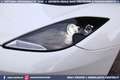 Lotus Evora 3.5 V6 Launch Edition MANUALE 2+2 280CV Blanco - thumbnail 29