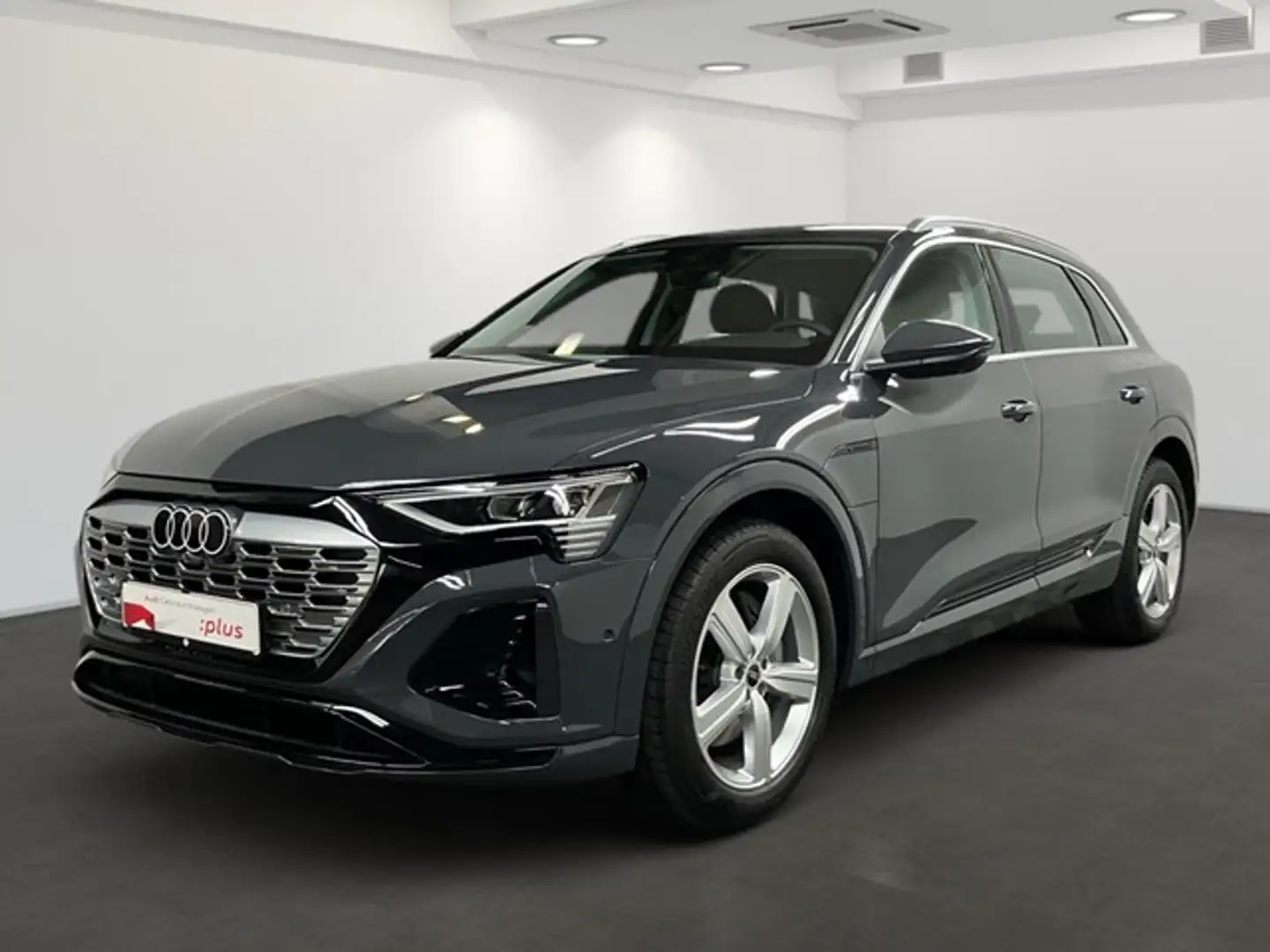 Audi Q8 e-tron 50 quattro MATRIX+NAV+GRA+SHZ - S line Grau - 1