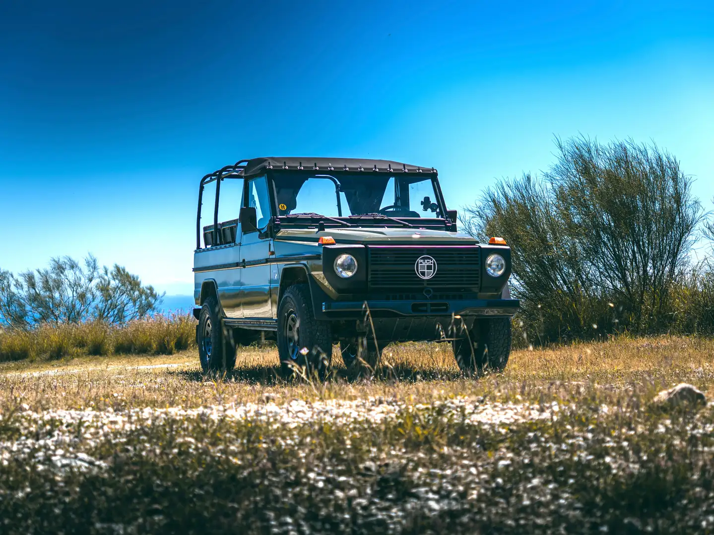 Mercedes-Benz G 290 Puch 290GD LWB Grün - 2