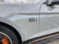 Ford Mustang Fastback 5.0 Ti-VCT V8 Aut. MACH1 338 kW, Grigio - thumbnail 15