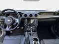Ford Mustang Fastback 5.0 Ti-VCT V8 Aut. MACH1 338 kW, Grigio - thumbnail 10