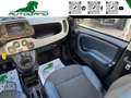 Fiat Panda Cross 1.0 FireFly Hy UniPro  UConnect 7 Pollici Grau - thumbnail 24