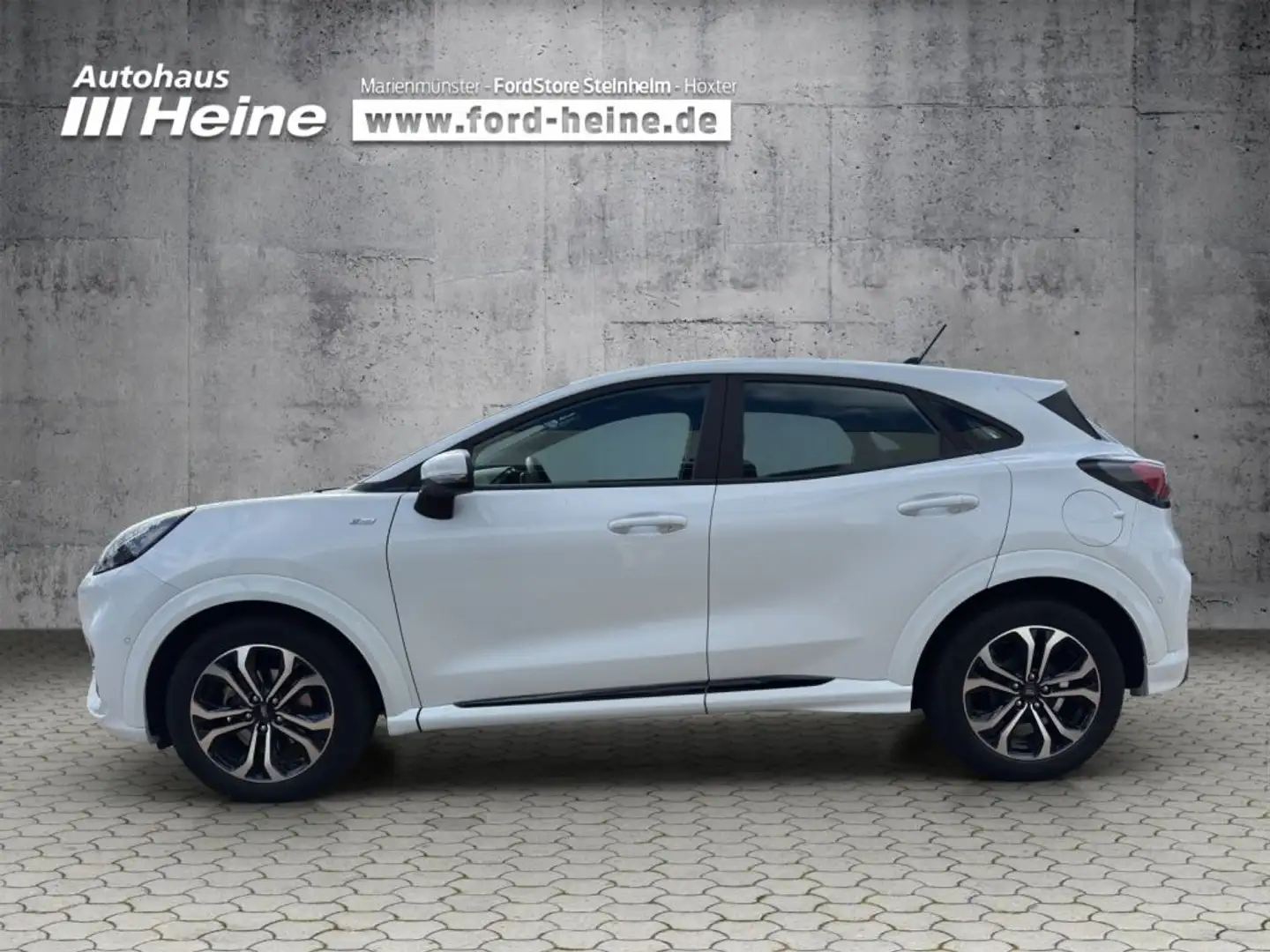 Ford Puma ST-LINE Hybrid 1.0 Ltr. 125 PS AUTOMATIK *AHK*CARP Weiß - 2
