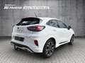 Ford Puma ST-LINE Hybrid 1.0 Ltr. 125 PS AUTOMATIK *AHK*CARP Weiß - thumbnail 5