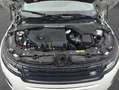 Land Rover Range Rover Evoque D200 Dynamic SE Blanco - thumbnail 11