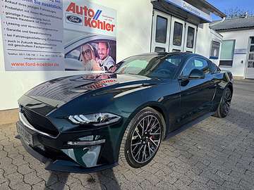Bullitt V8 Fastback (8-fach Bereifung)