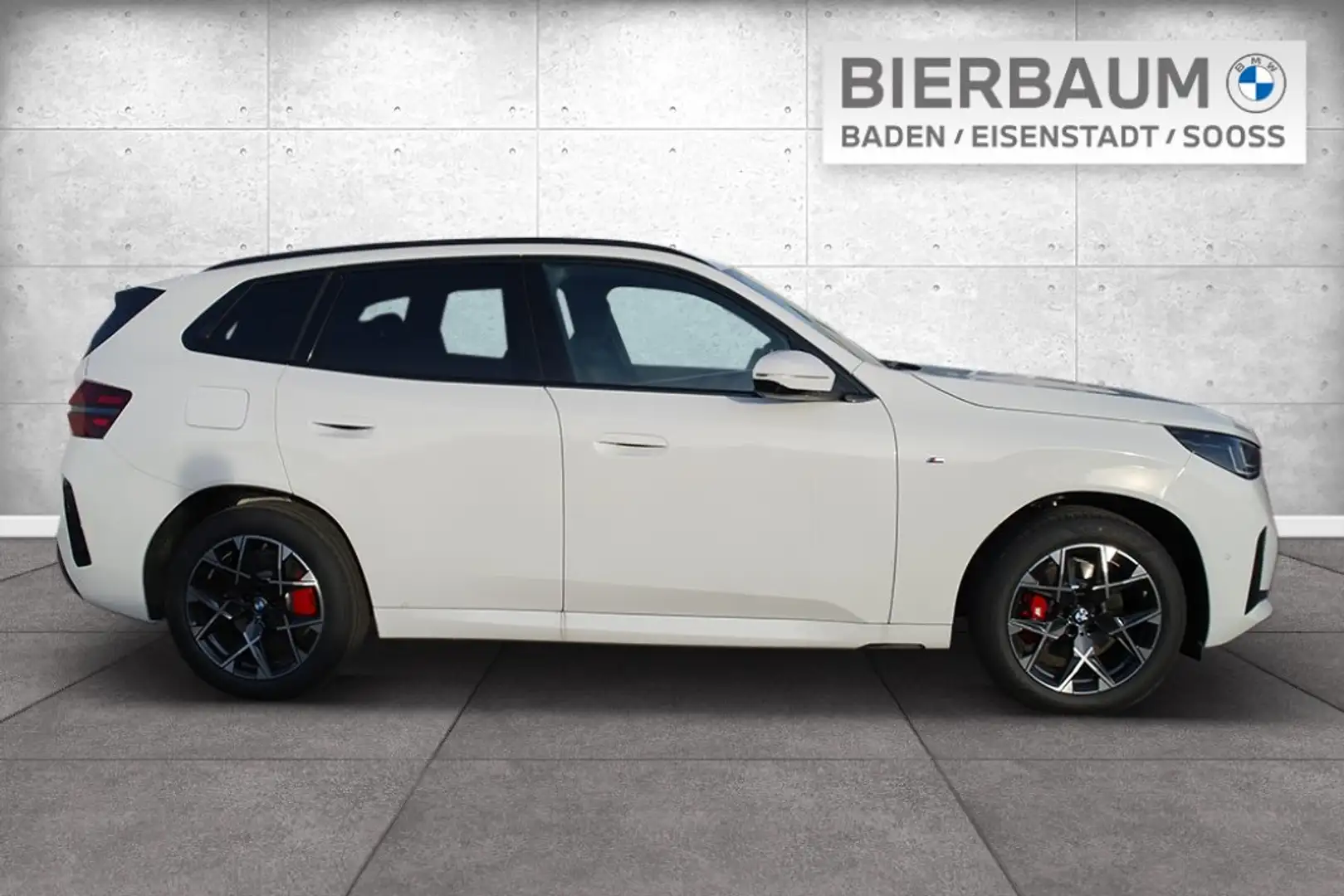 BMW X3 30e xDrive Weiß - 2