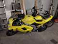 Triumph Daytona 955i Amarillo - thumbnail 6