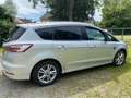 Ford S-Max 2.0 EcoBlue Aut. TITANIUM Grau - thumbnail 4