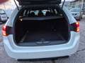 Peugeot 308 BlueHDi 120 S&S EAT6 SW GT Line Weiß - thumbnail 4