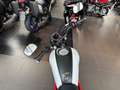 Yamaha XSR 125 Modell 2025 VFM Rot - thumbnail 9