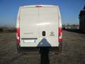 Fiat Ducato 2.3 MJET. 130 CV. L3H2 EURO 6B Bianco - thumbnail 6