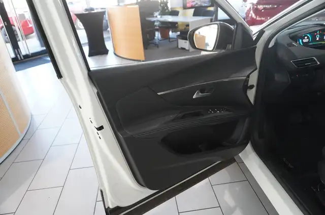 Peugeot 3008 view 19